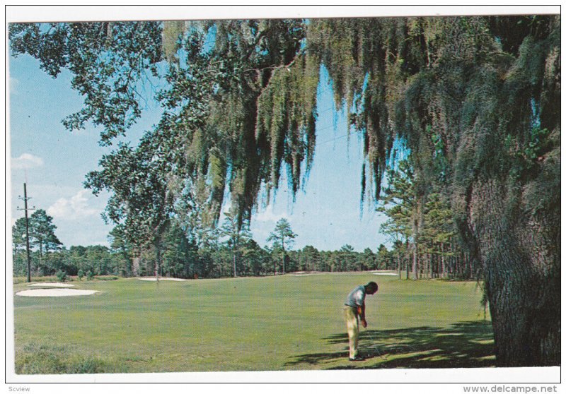 Quail Creek Golf Course, Fourteenth Hole, MYRTLE BEACH, South Carolina, 40-60´s