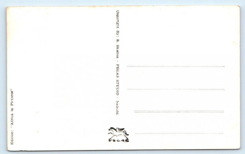RPPC East Africa UGANDA Murchison Falls Postcard