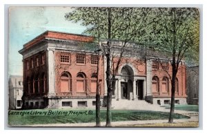 Carnegie Library Building Street View Freeport Illinois IL DB Postcard Y2