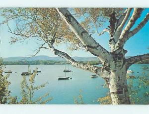 Pre-1980 GREETINGS FROM - BOAT & WHITE BIRCH TREE Harrisville New York NY Q7638