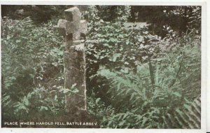 Sussex Postcard - Place Where Harold Fell - Battle Abbey - Ref 5651A