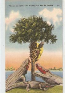 Blackman pursued by alligators, in Florida Humorous American Linen postcard