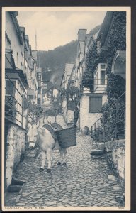 Devon Postcard - A Donkey on Clovelly High Street RS3525