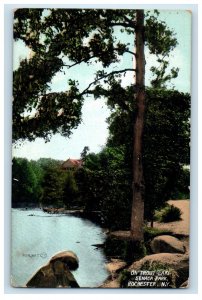 c1905 On Trout Lake, Senaca Park Rochester New York NY Posted Postcard 