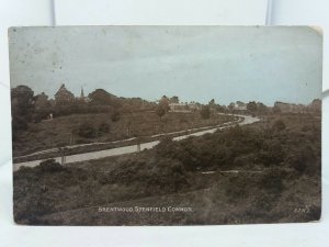 Vintage Antique  Postcard Shenfield Common Brentwood Essex c1900