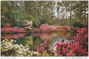 Alabama Mobile Bellingrath Gardens Mirror Lake 1957