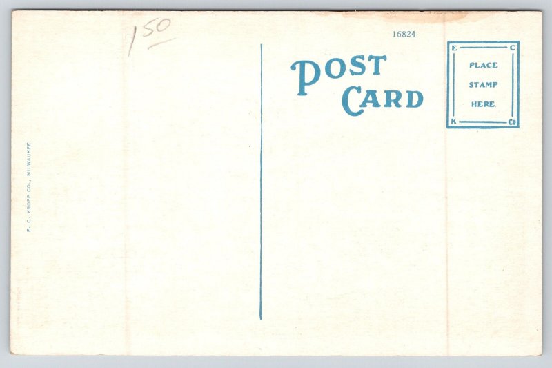 Austin Texas~Post Office Bldg St View~US Flag~Columns~Beaux-Arts~1920s Postcard