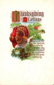 Thanksgiving Greetings With Turkey
