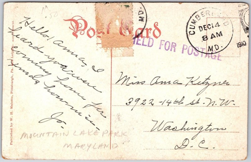 1910's Swallow Falls Near Mountain Lake Park Maryland MD Stream Pines Postcard