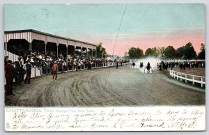1910's Olympia Park Race Track Chattanooga Tennessee TN Crowd Watching Postcard