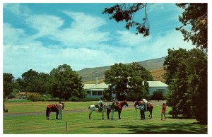 Ranch House Horses Parker Ranch Mauna Kea Beach Hotel Hawaii Hotel Postcard