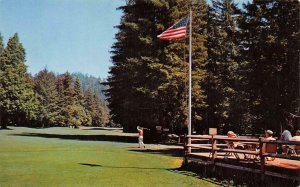 NORTHWOOD GOLF COURSE Northwood Lodge, Monte Rio, CA c1960s Vintage Postcard