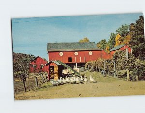 Postcard Barnyard scene in the Dutch Country Pennsylvania