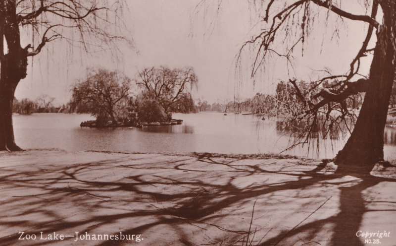 Zoo Lake Johannesburg Old Real Photo South African Postcard