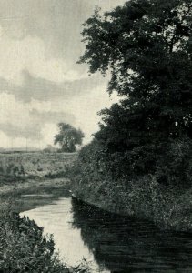 Circa 1900-09 View on Linn Creek, Marshalltown, Iowa Vintage Postcard P10