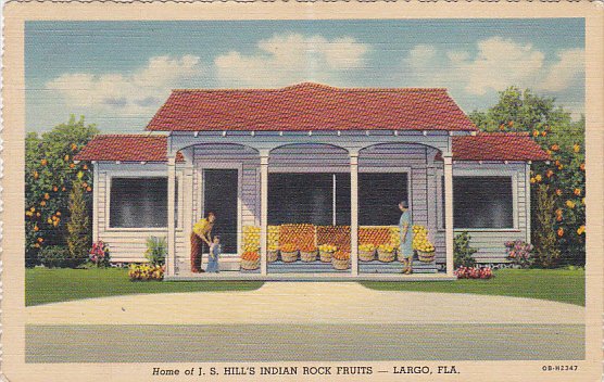 J S Hill's Indian Rocks Fruits Largo Florida Curteich