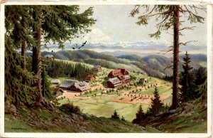 Feldberg, Schwarzwald, HOTEL FELDBERGERHOF, Frau Cat Postcard