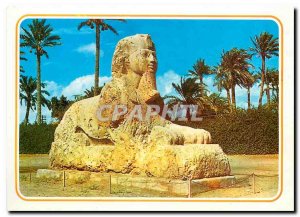 Postcard Modern Egypt Giza The Sphinx of Sakkara