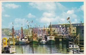 Massachusetts Gloucester Fishing Boats During Fishermen's Fiesta