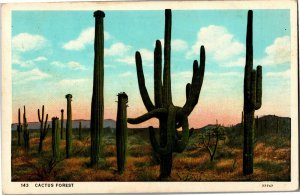 Desert View, Cactus Forest Vintage Postcard J26