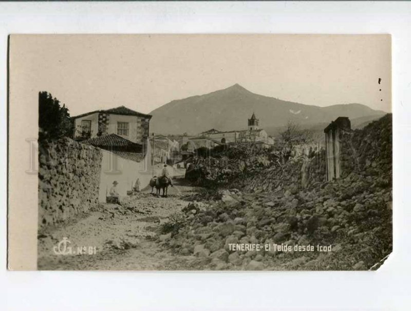 287206 SPAIN Canary TENERIFE view Vintage photo postcard