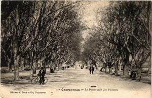 CPA CARPENTRAS - La Promenade des Platanes (512095)