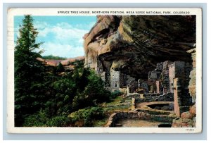 1931 Spruce Tree House Northern Portion Mesa Verde National Park CO Postcard