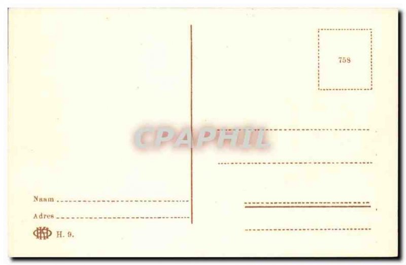 Netherlands Postcard Old Gravenhage Plants puts standb Johan de Witt