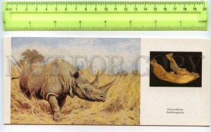 477701 USSR 1989 year Flerov dinosaurs Merck's rhinoceros postcard