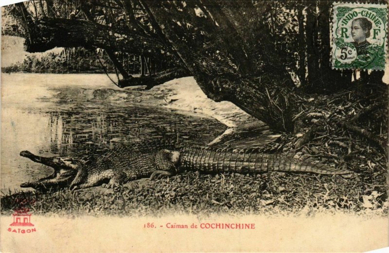 CPA AK INDOCHINA Caiman de Cochinchine VIETNAM (957131)