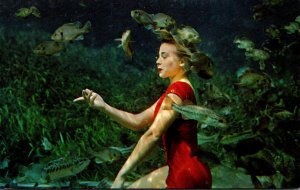 Florida Silver Springs Betty Frazee Poses Underwater With A School Of Fish