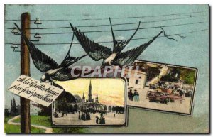 Old Postcard Lourdes Swallows