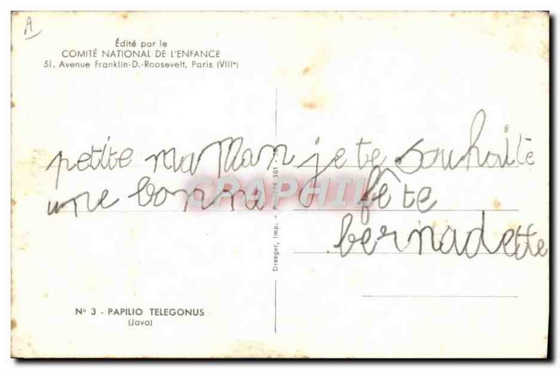 Old Postcard Butterfly Papilio Tlegonus Java