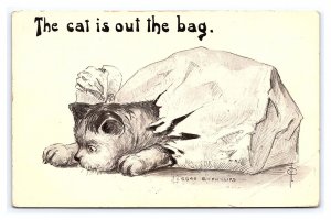 Cat Postcard The Cat Is Out The Bag Artist Signed I. Phillips c1910 Postmark