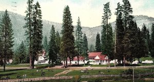 C.1910 Hotel Wawona, Yosemite Valley, CA Goats Mountains Postcard P122