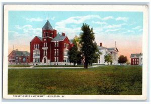 View Of Transylvania University Lexington Kentucky KY Vintage Unposted Postcard