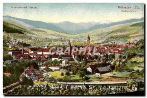 Munster Old Postcard Hochvogesen Schnepfenreid