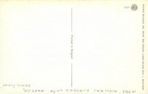 Postcard 1950s Mainzer Dressed Cats rafting comic humor TP24-379