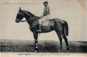 Haut Brion La France Chevaline Race Horse Antique 1911 PB Postcard