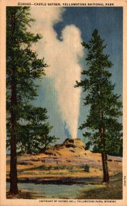 Yellowstone National Park Castle Geyser 1949 Curteich