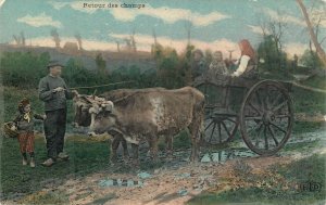 Animals cows cart return from fields postcard France