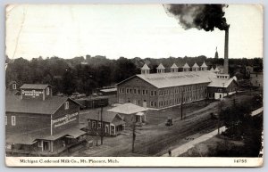 Michigan Condensed Milk Company Mt. Pleasant Michigan RPPC Real Photo Postcard