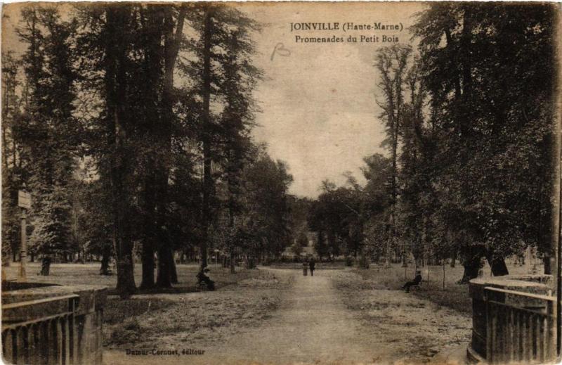 CPA JOINVILLE Promenades du Petit Bois (616465)