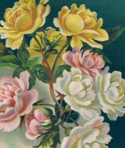 1880s Victorian Trade Card Beautiful Pink Yellow & White Roses #6D