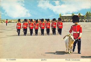 B102341 quebec  p q canada parade military militaria goat the citadel