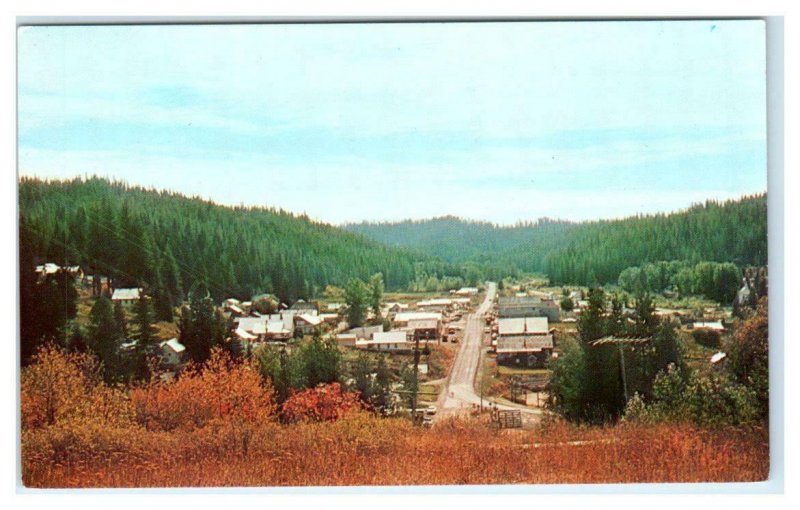 PIERCE, Idaho ID ~ Birdseye View CLEARWATER COUNTY ca 1950s-60s Postcard