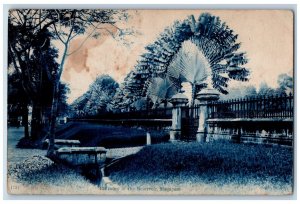 Singapore Postcard Scene at the Entrance to the Reservoir c1910 Posted Antique