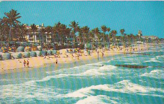 Florida Palm Beach Tropical Floridas First Resort 1957