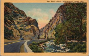 Trout Stream Ogden Canyon Ogden UT Postcard PC497