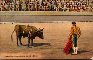 Corrida Bull Fight Matador Enraging The Bull In Old Mexico